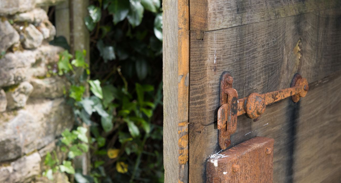 The Power of a Positive Mindset