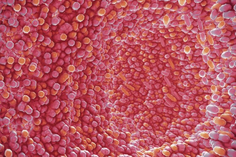 Why Understanding the Different Roles of Gut Flora is Important