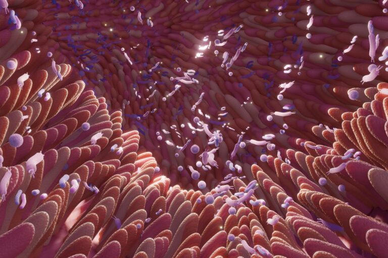 Why Healthy Gut Lining is Important