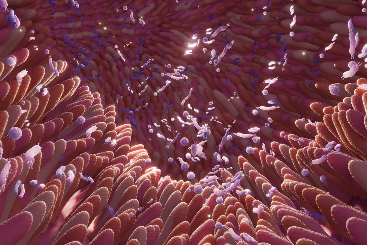 Why Healthy Gut Lining is Important