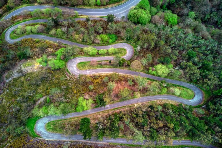 Our Family’s Healing Journey Reflections