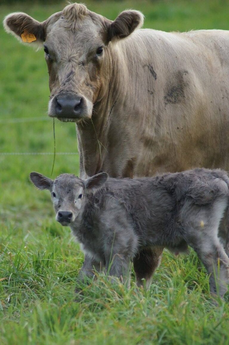 Change is in the Air