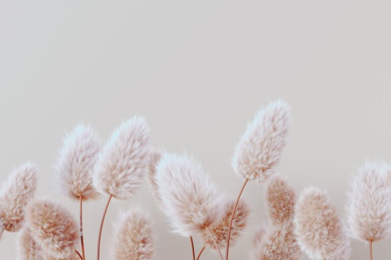 Finding Freedom in Surrender