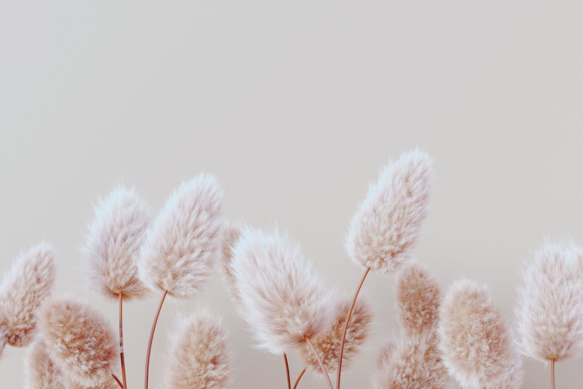 Finding Freedom in Surrender