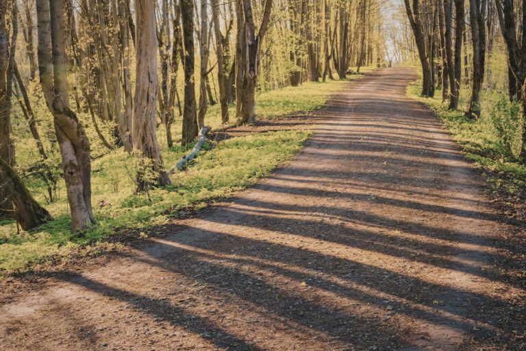 Holding Onto Faith: Processing the Hard Days