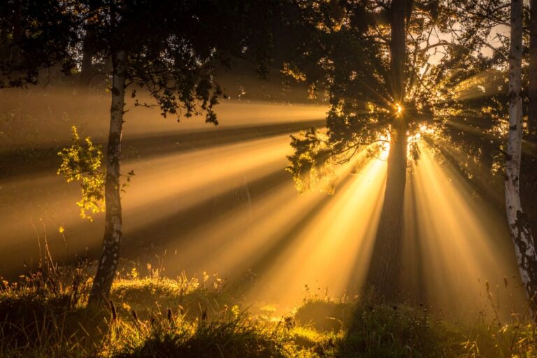 Holding Onto Faith: Choosing to Trust