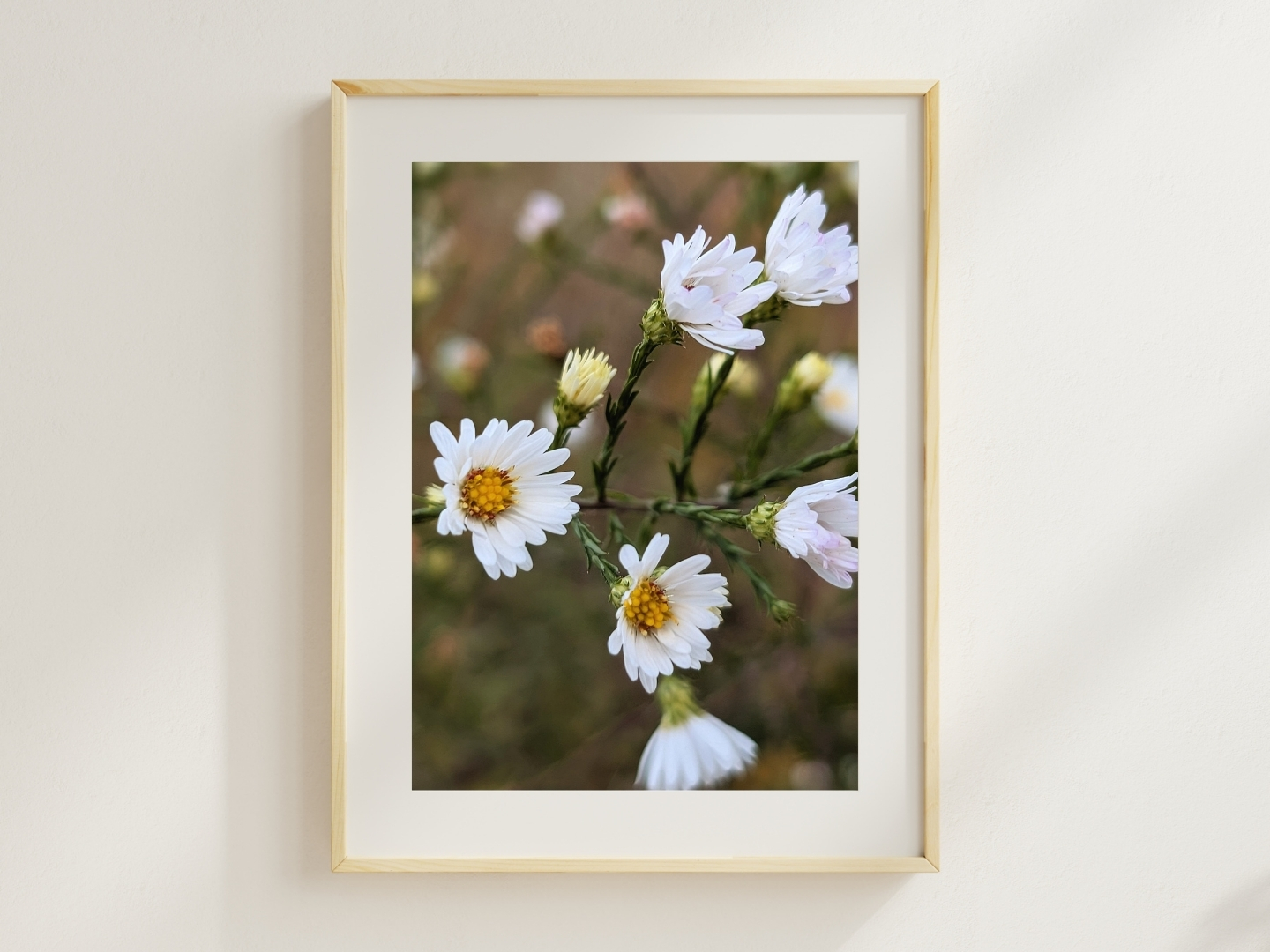 Autumn Speckled Sunflower - Floral Photography Digital Print - Image 2