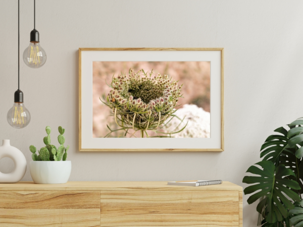 Queen Anne’s Lace Basket 1