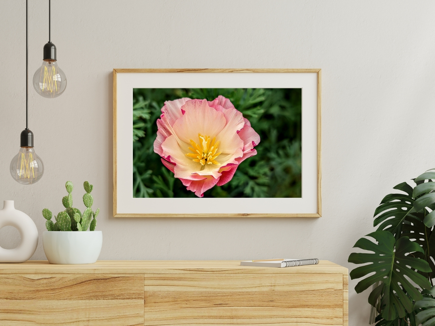 Strawberry Streaked Poppy - Floral Photography Digital Print - Image 2