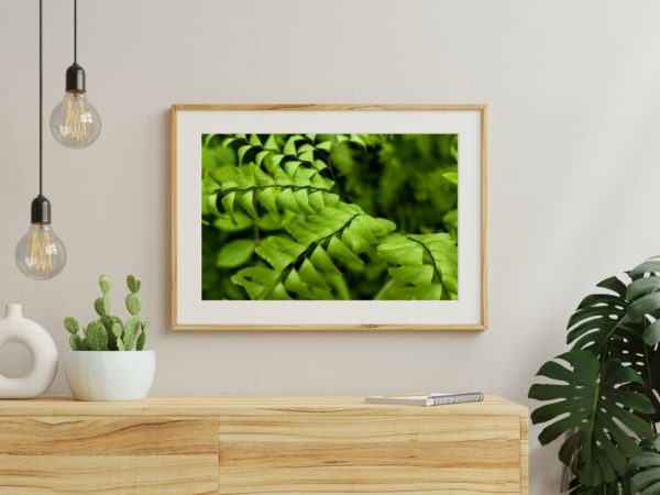 Tunneling Forest Fern 1